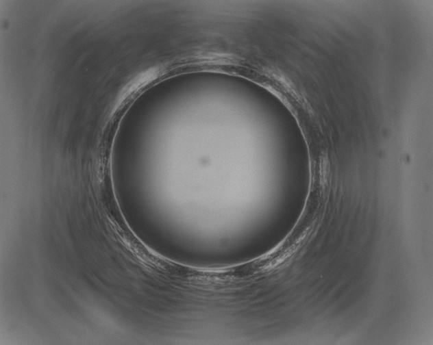 X0000083621405200702121129