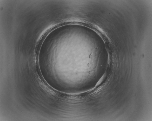 X0000083621408200702121129