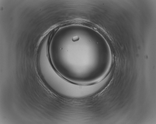 X0000083621410200702121129