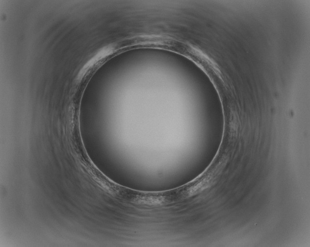 X0000083621411200702121129