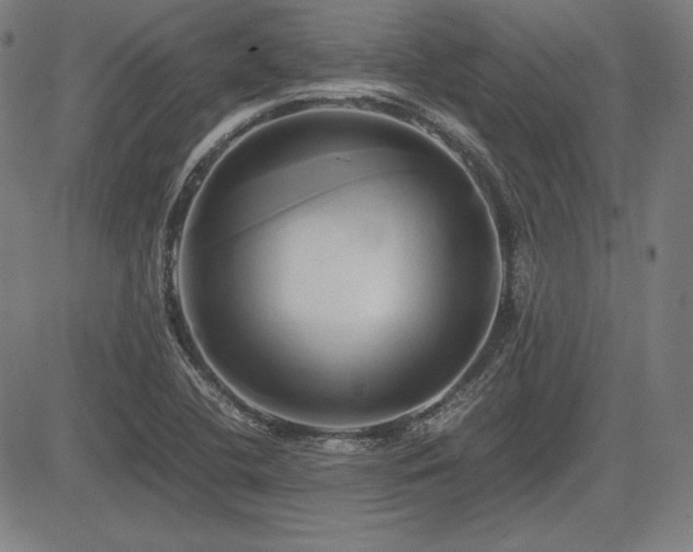 X0000083621412200702121129