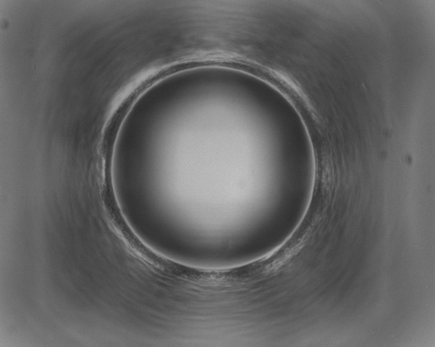 X0000083621414200702121129