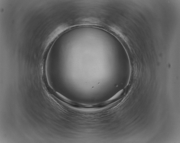 X0000083621415200702121129