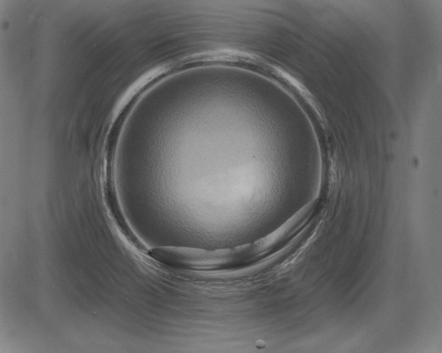 X0000083621418200702121129
