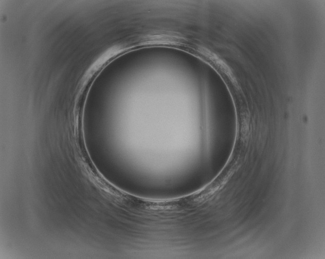 X0000083621419200702121129