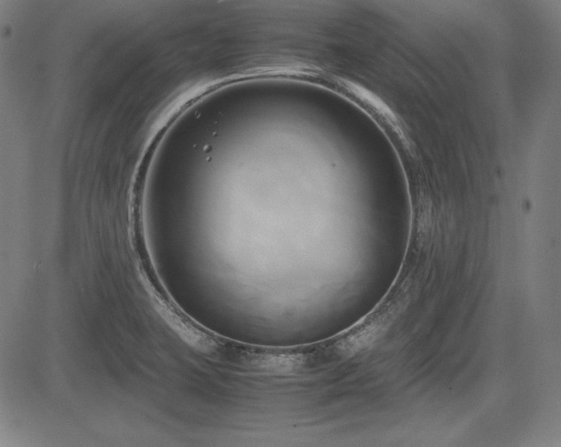 X0000083621423200702121129