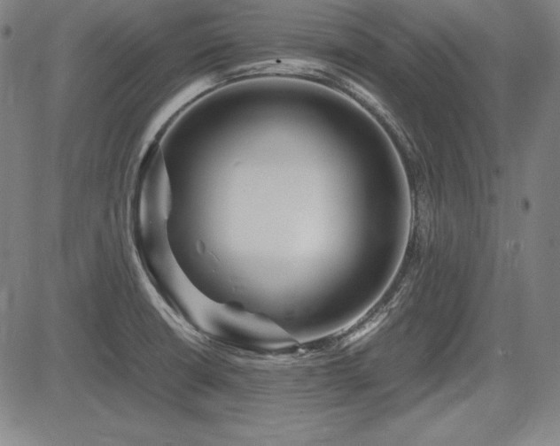 X0000083621426200702121129
