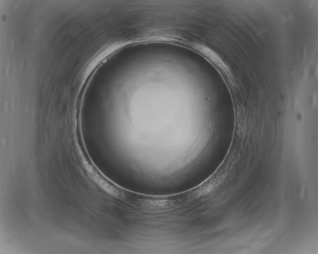 X0000083621431200702121129