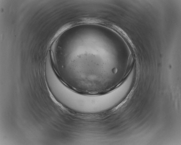 X0000083621433200702121129