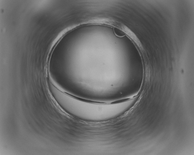 X0000083621436200702121129