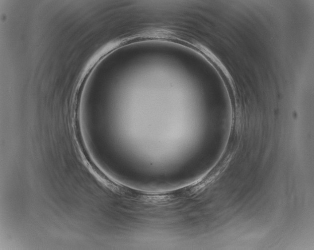 X0000083621437200702121129