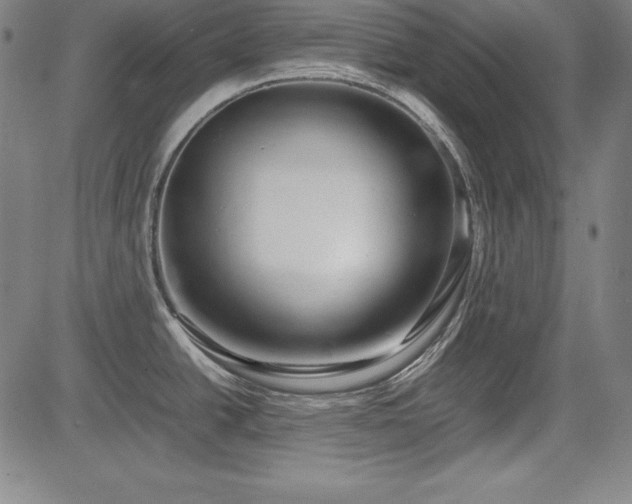 X0000083621438200702121129