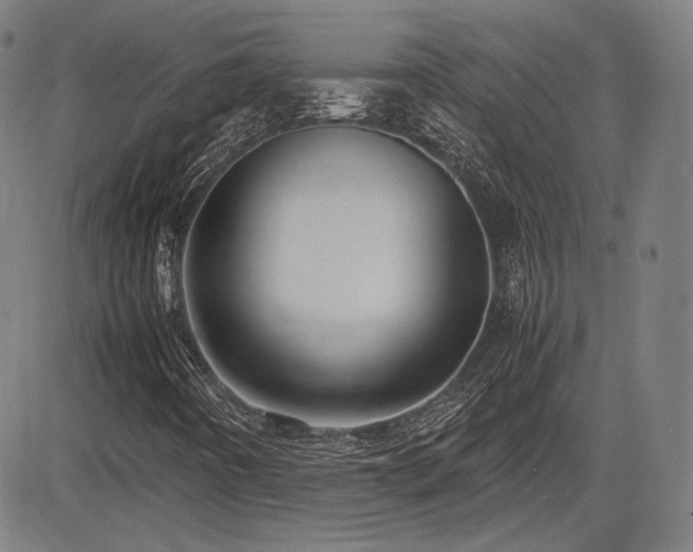 X0000083621442200702121128