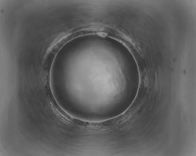 X0000083621448200702121128
