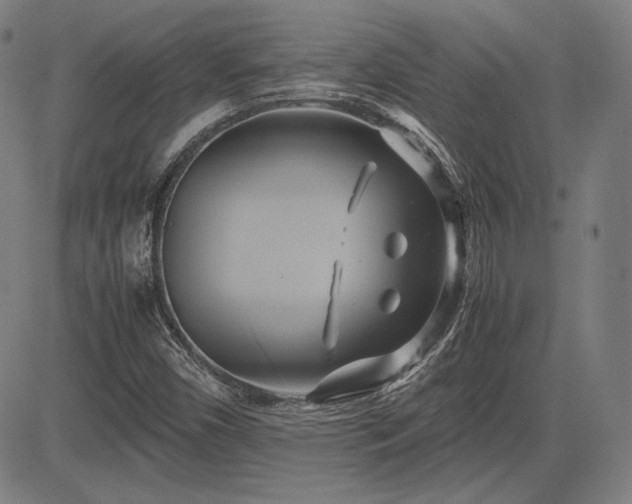 X0000083621450200702121128