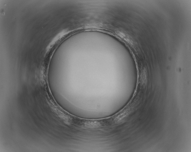 X0000083621454200702121128