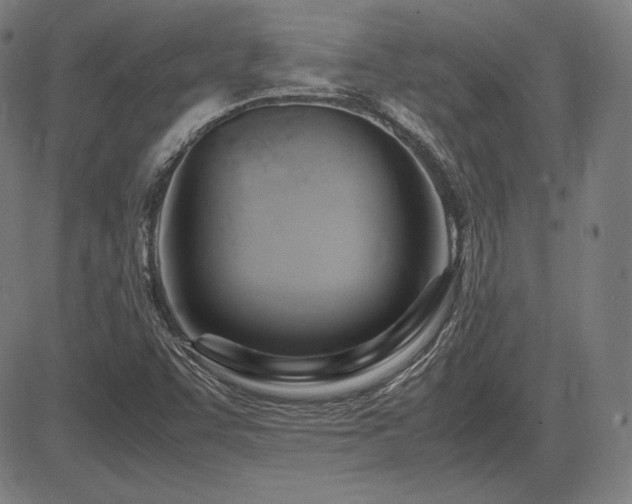 X0000083621455200702121128