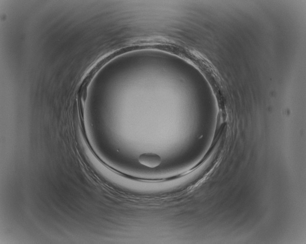X0000083621457200702121128
