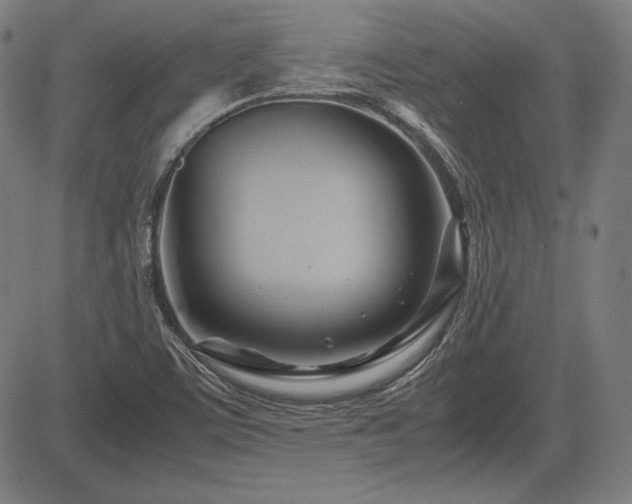 X0000083621459200702121128