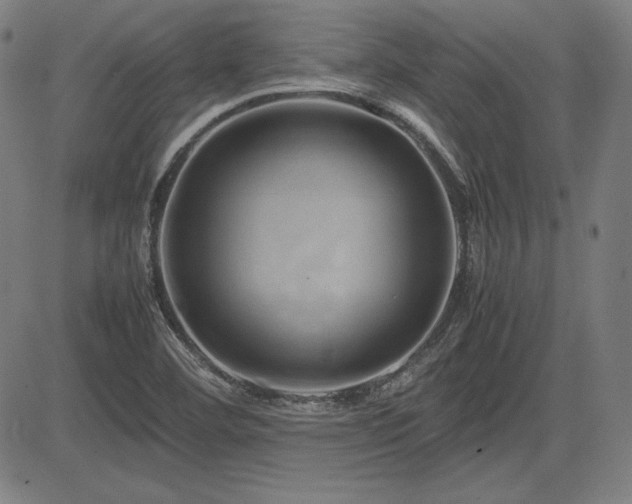 X0000083621460200702121128