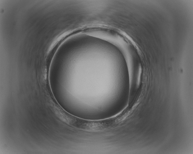 X0000083621461200702121128