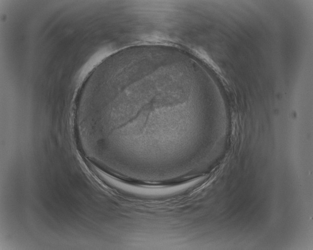 X0000083621463200702121128