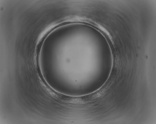 X0000083621464200702121128