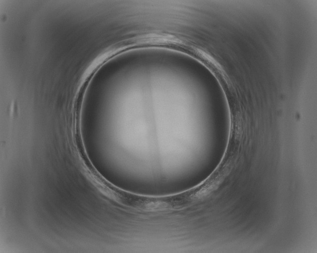 X0000083621467200702121128