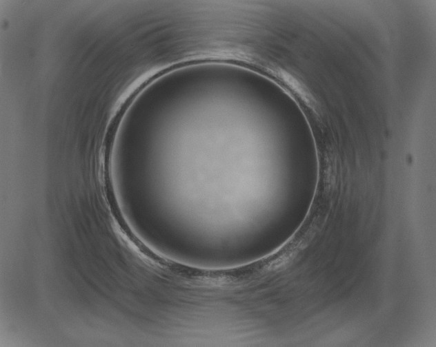 X0000083621468200702121128