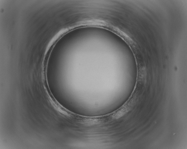 X0000083621470200702121128