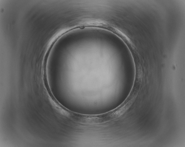 X0000083621471200702121128