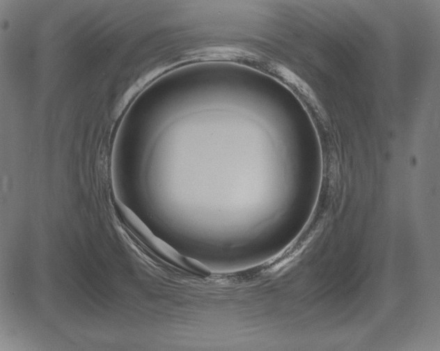 X0000083621473200702121128