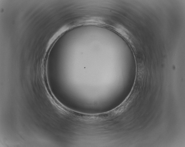 X0000083621474200702121128