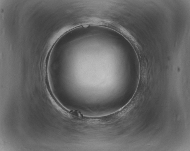 X0000083621479200702121128