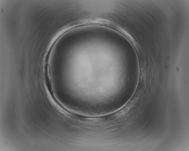 X0000083621483200702121128