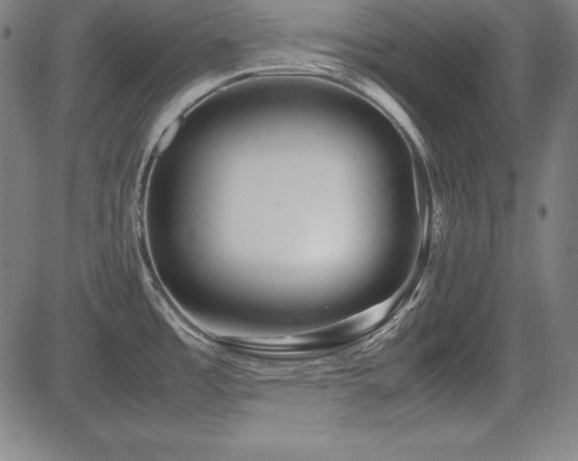 X0000083621485200702121128