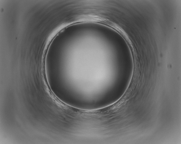 X0000083621488200702121128
