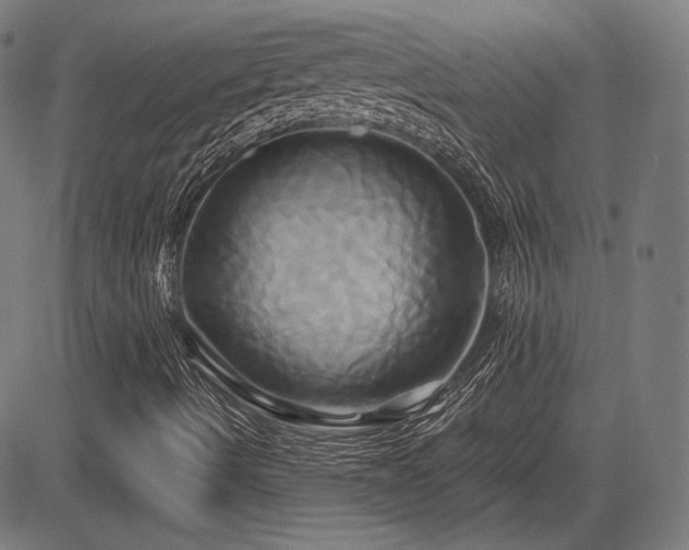 X0000083621490200702121127