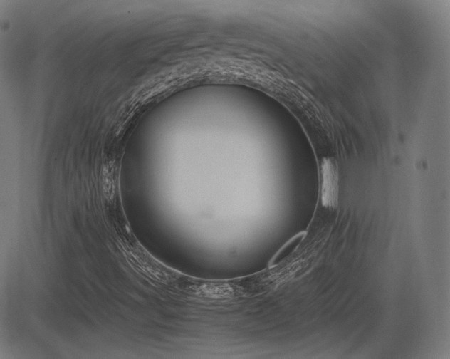 X0000083621491200702121127