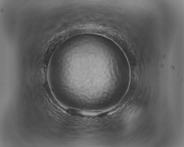 X0000083621493200702121127