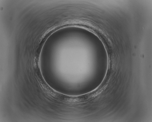 X0000083621497200702121127