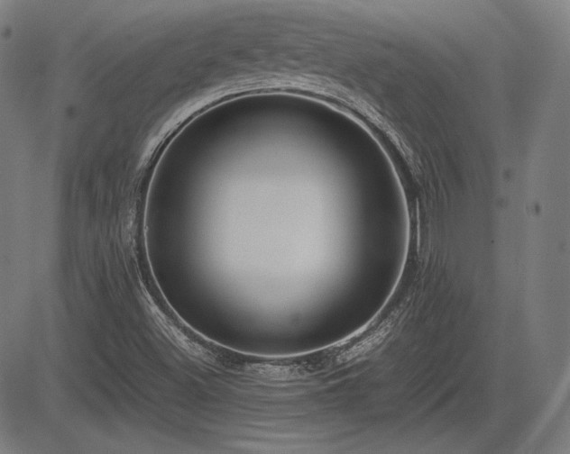 X0000083621500200702121127