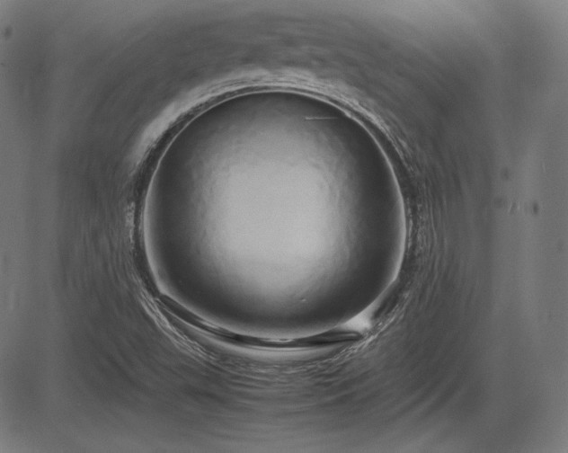 X0000083621503200702121127