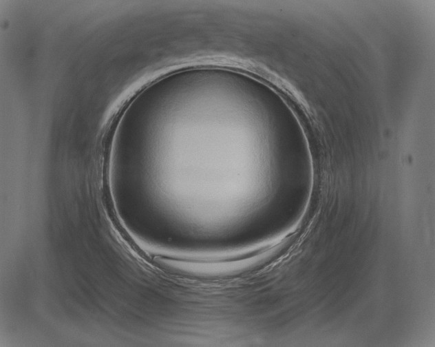 X0000083621504200702121127