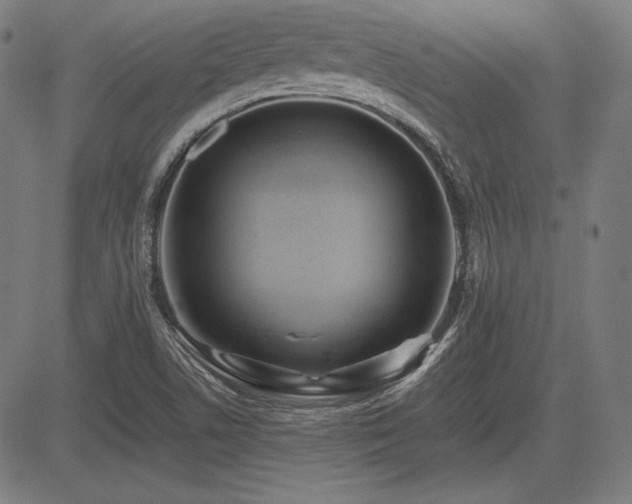X0000083621506200702121127