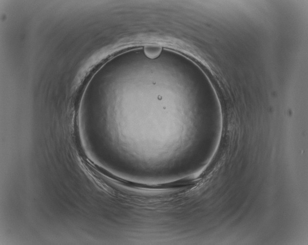 X0000083621507200702121127