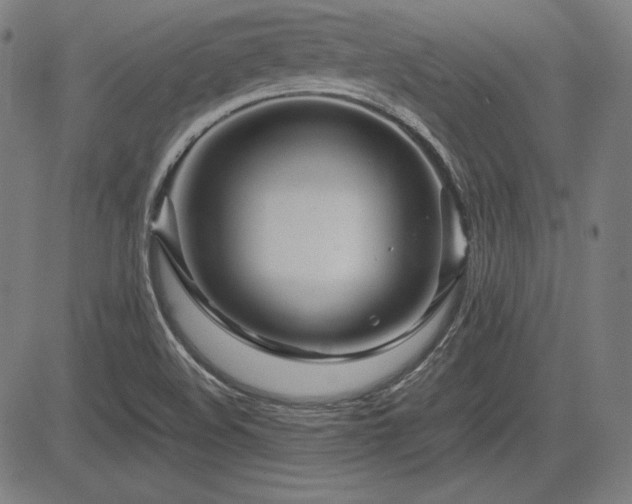 X0000083621508200702121127
