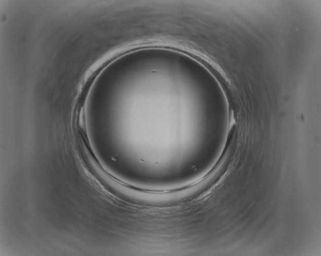 X0000083621510200702121127