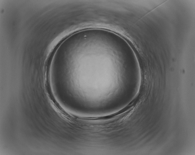 X0000083621511200702121127
