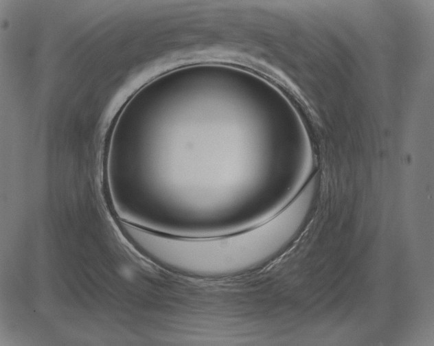 X0000083621512200702121127